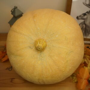 _DSC0476 Dzeltenais ķirbis "Sanita"