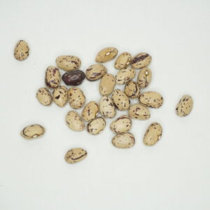 Krūmu pupiņas "borlotto lingua di fuoco nano"